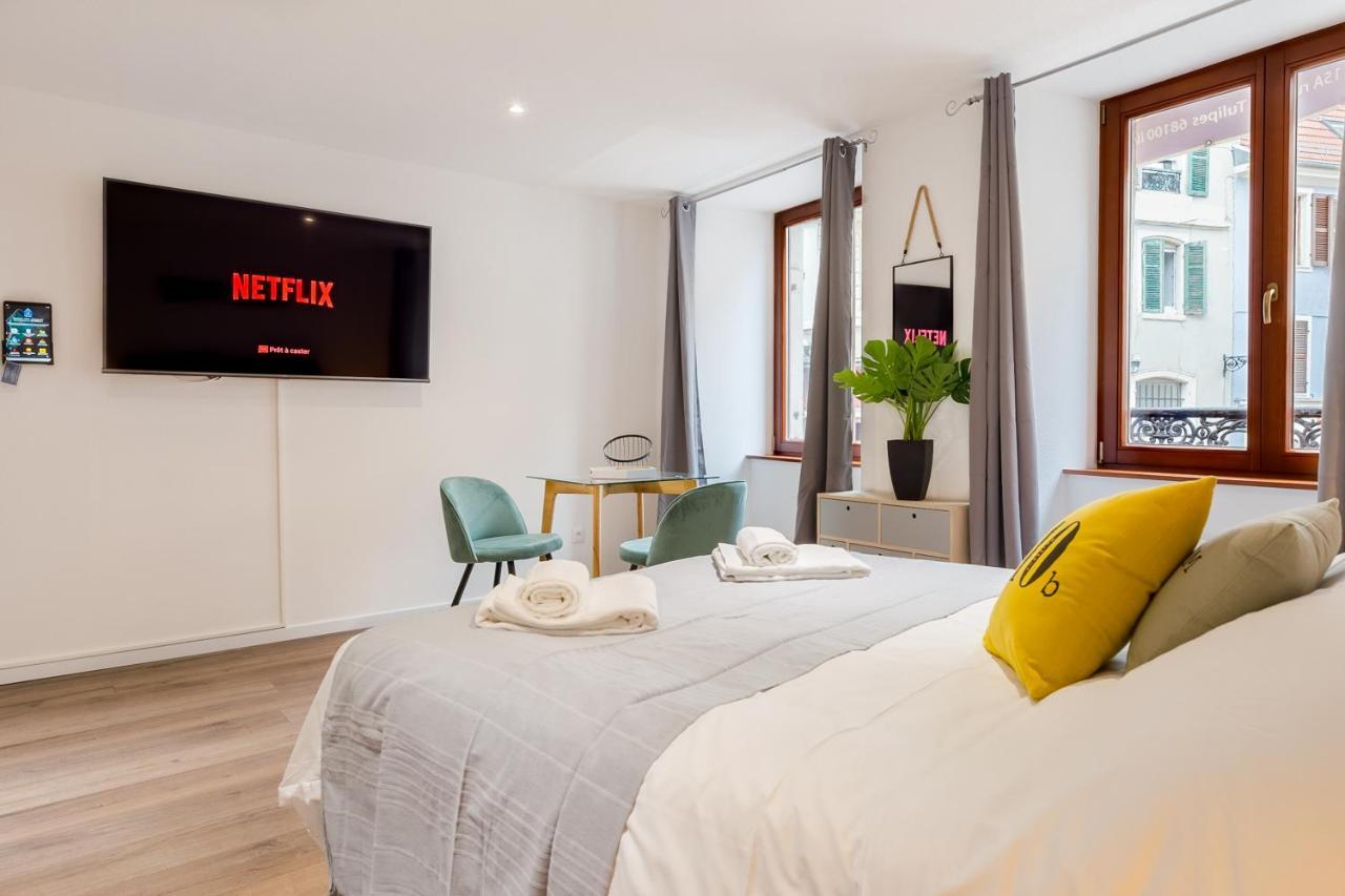 Travel Homes - L'Arsenal, Studios En Hyper Centre Mulhouse Kültér fotó